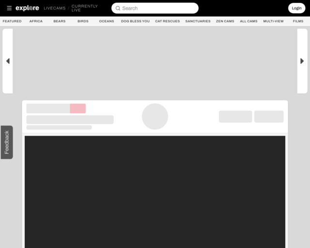 Screenshot of the Explore.org website
