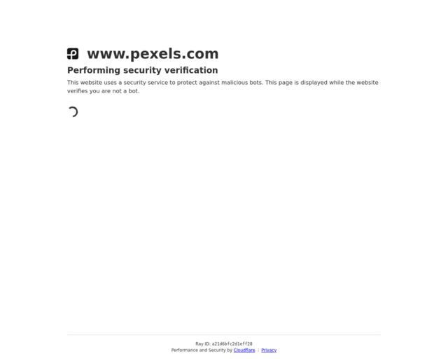 Screenshot of the Pexels website